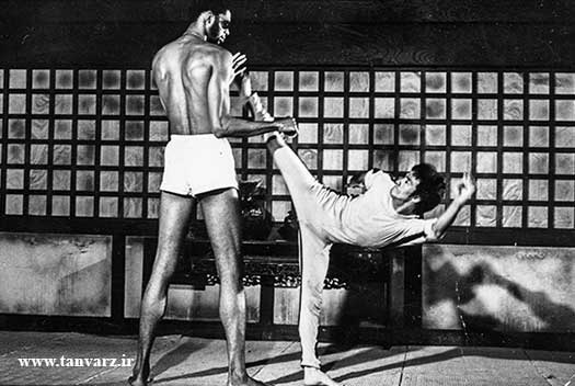 تمرینات بروسلی